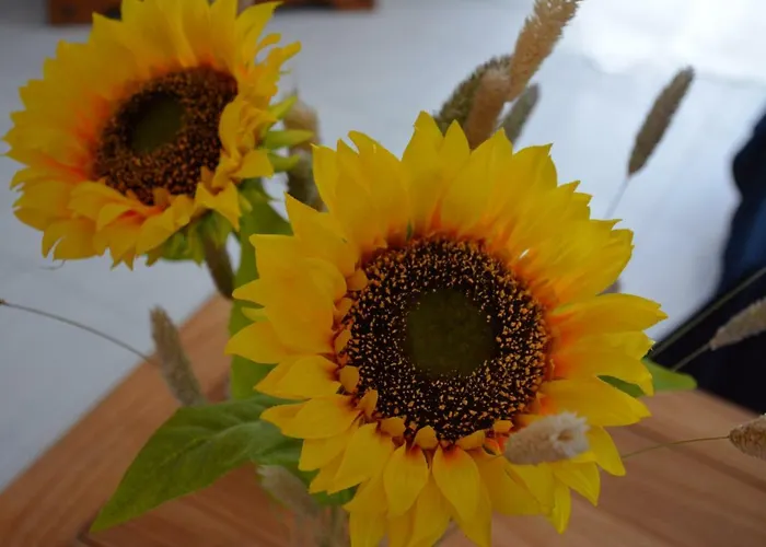 Tabaibita Διαμέρισμα Orzola