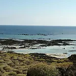 Tabaibita אורסולה