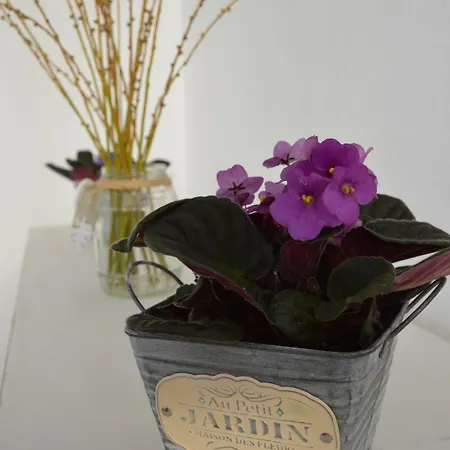 Διαμέρισμα Tabaibita Orzola