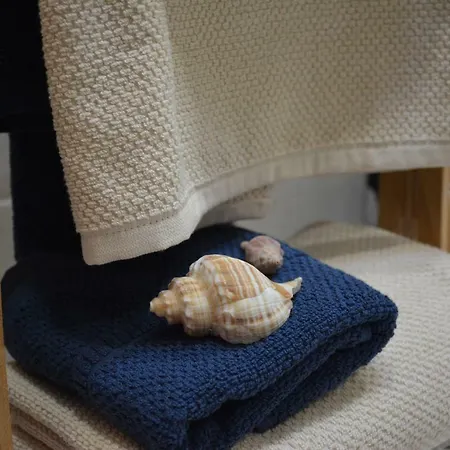 Tabaibita 奥尔索拉