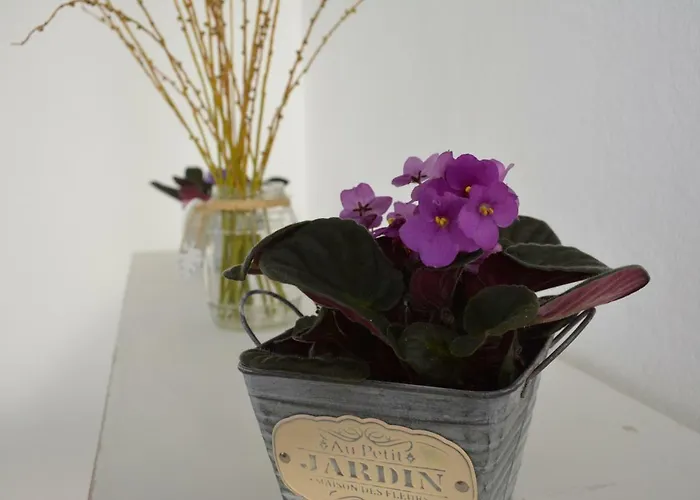 公寓 Tabaibita 奥尔索拉